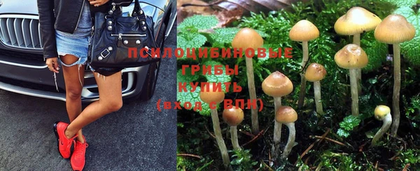 стафф Вязники