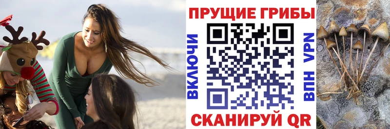 Псилоцибиновые грибы Magic Shrooms  Заречный 