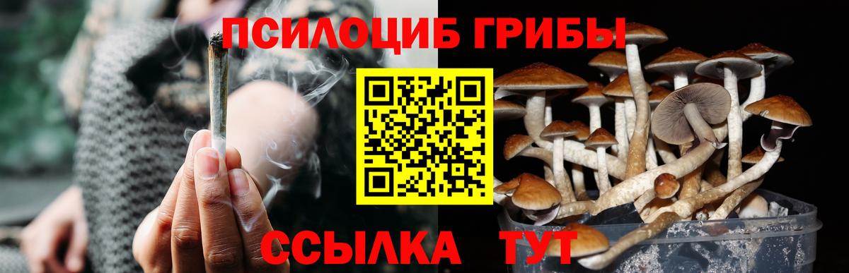 Заречный  Галлюциногенные грибы MAGIC MUSHROOMS  Вход с VPN 